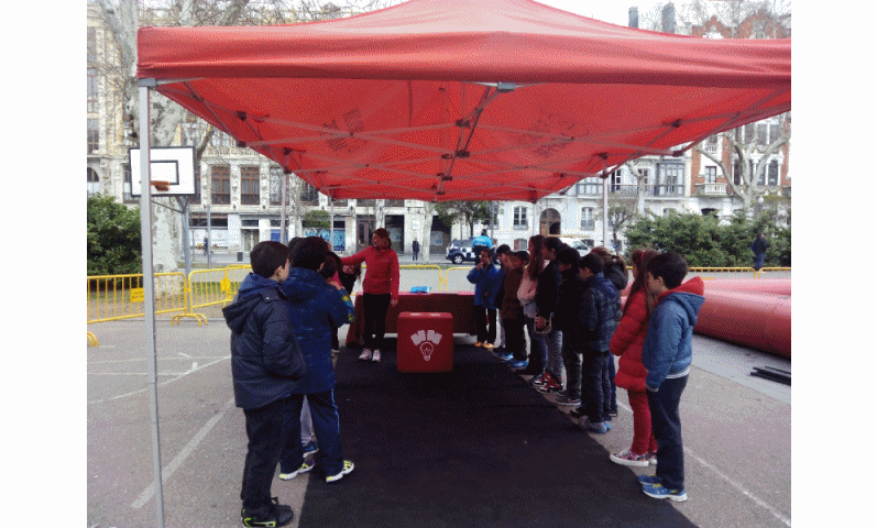 Gif Ed. Vial (3º, 4º y 6º) mar 15