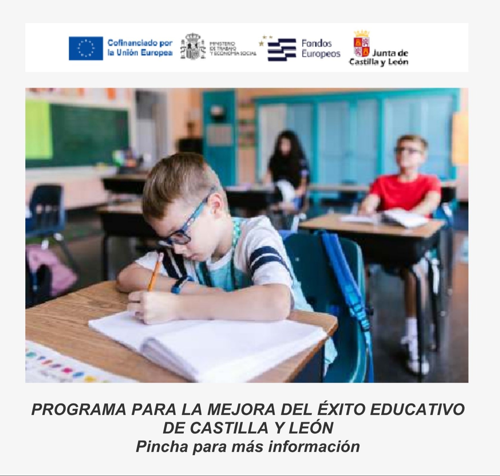Logo Programa Éxito Educativo Castilla y León - Clic para abrir el boletín informativo